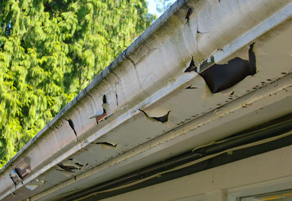 Gutter Repair