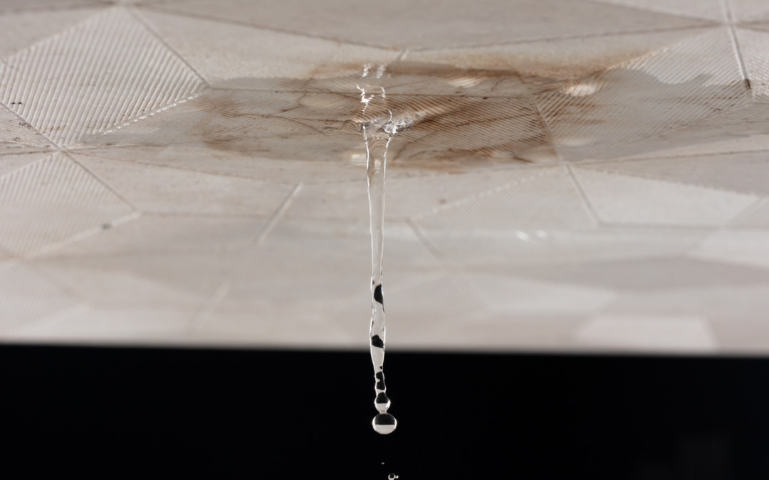 Tiny Leak, Major Cost: Why Early Roof Repair Matters