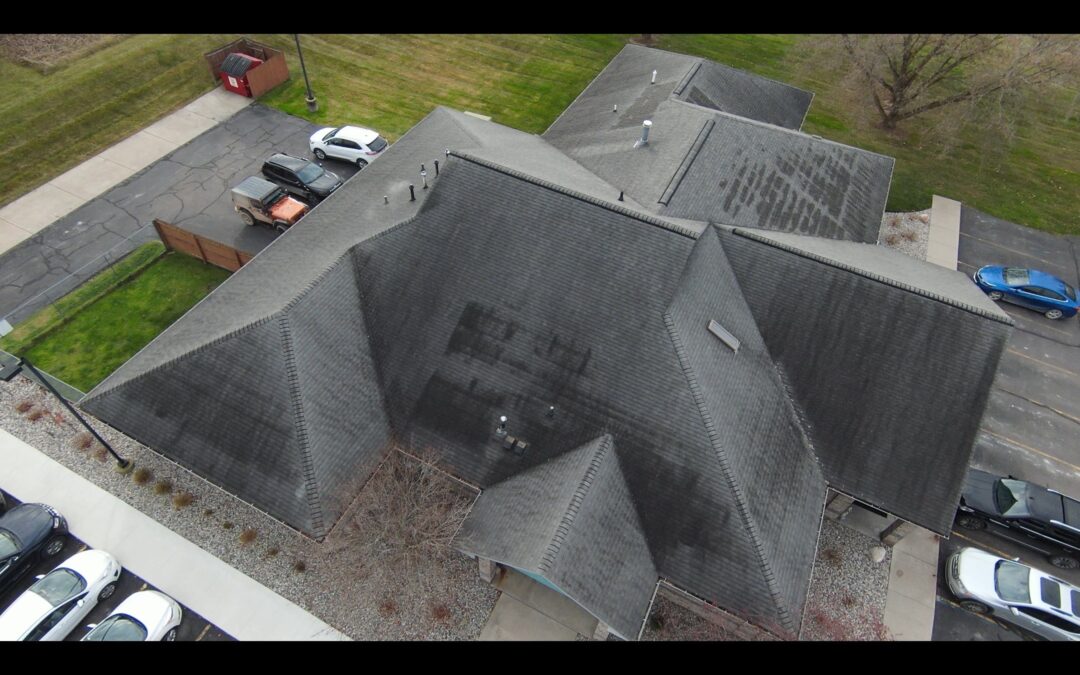 Why Your Roof Looks Dirty (And What It’s Costing You)