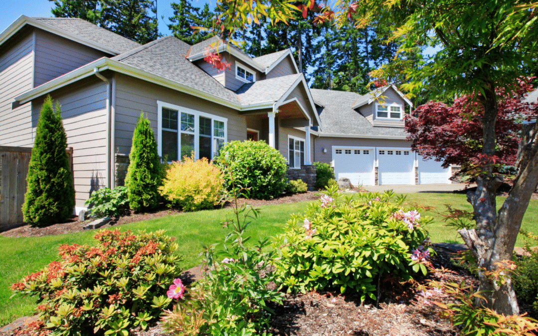 The Truth About Those Black Streaks on Your Roof