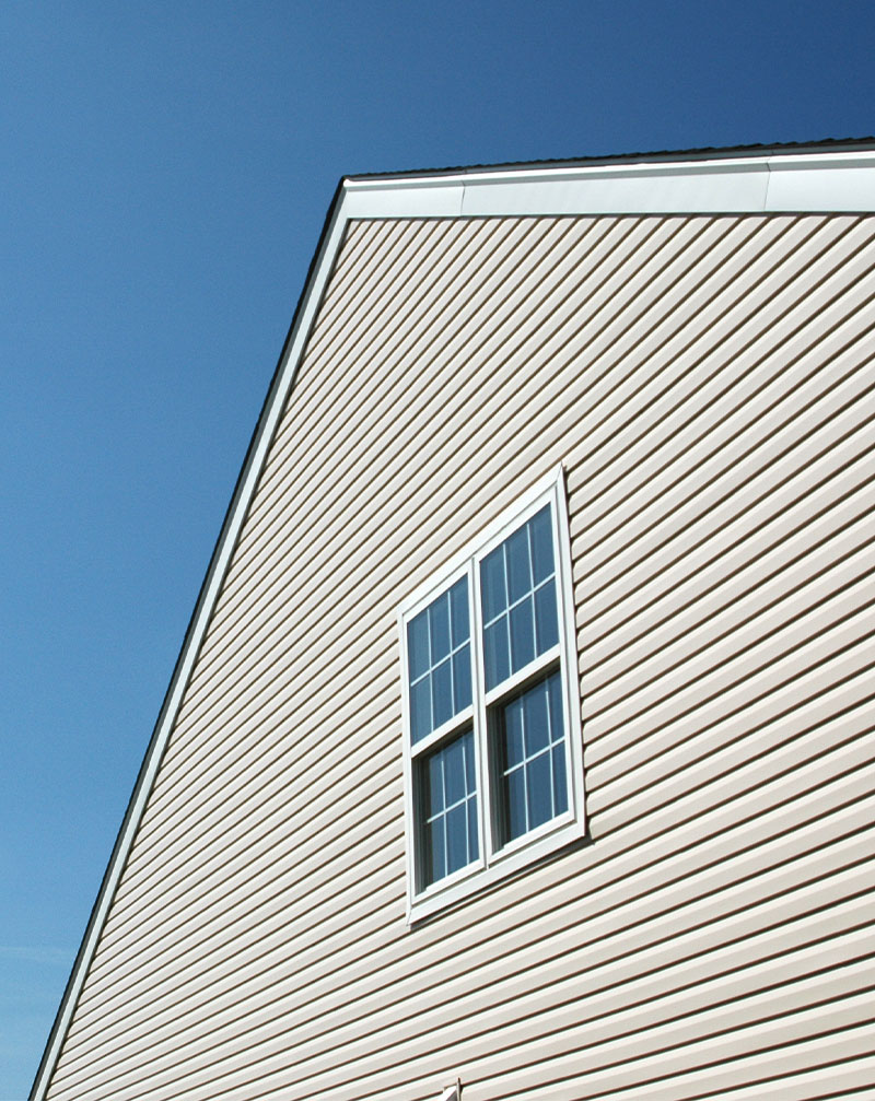 Professional Siding Services